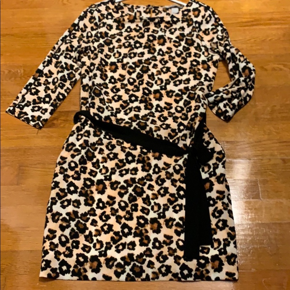 Leopard Dress with pockets.